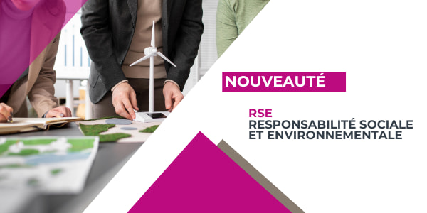 Formation RSE (Responsabilité sociale et environnementale)